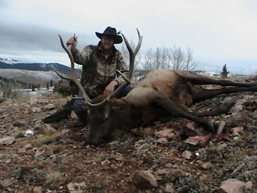 New Mexico Private Land Elk Hunts